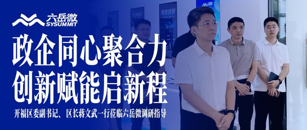 政企同心聚合力，创新赋能启新程——开福区委副书记、区长蒋文武一行莅临六岳微调研指导